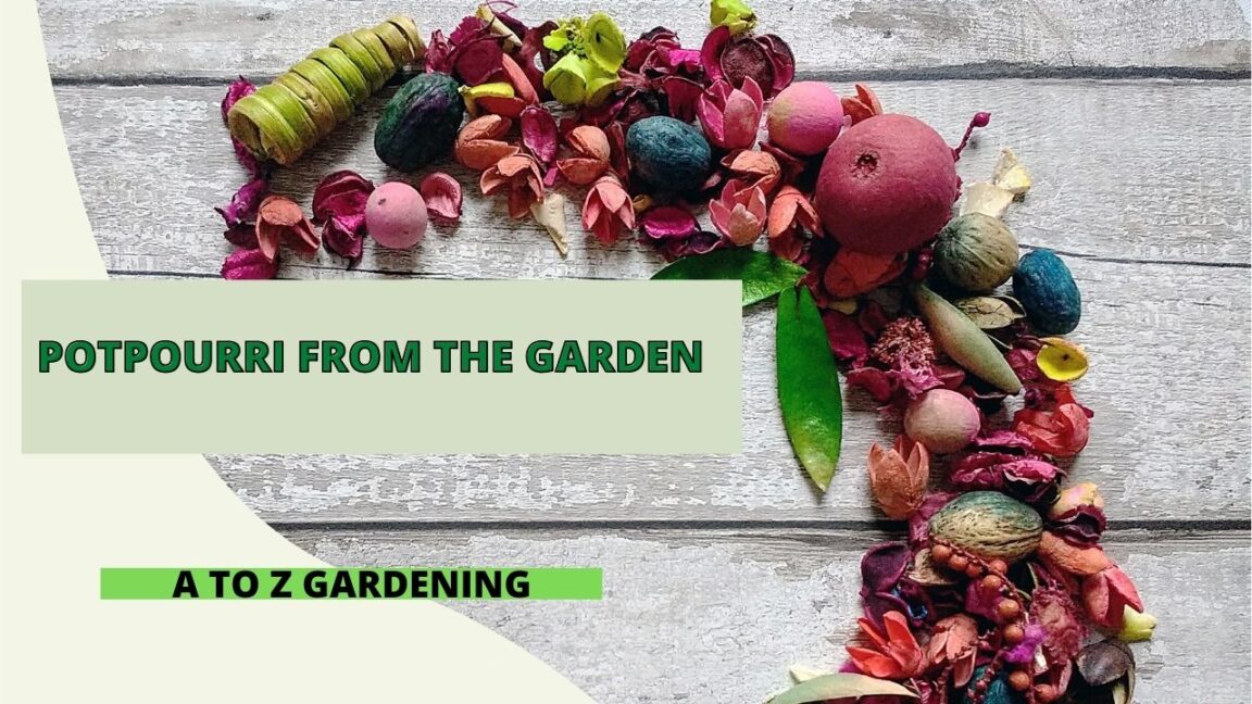 Potpourri from the Garden A to Z Gardening