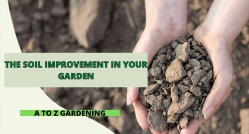 The Soil Improvement in Your Garden