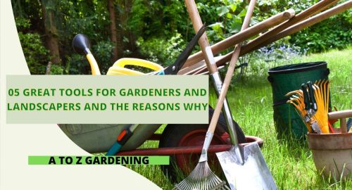 05 Great Tools for Gardeners and Landscapers and the Reasons Why