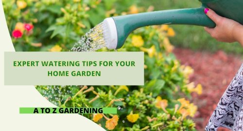 Expert Watering Tips for Your Home Garden