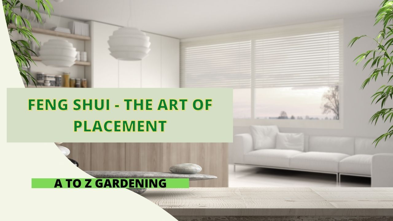 Feng Shui - The Art of Placement