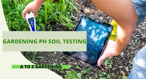 Gardening PH Soil Testing