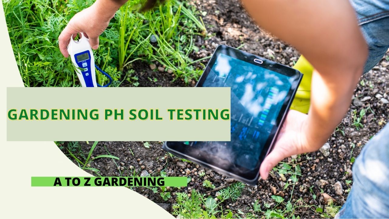 Gardening PH Soil Testing