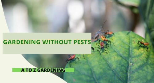 Gardening Without Pests