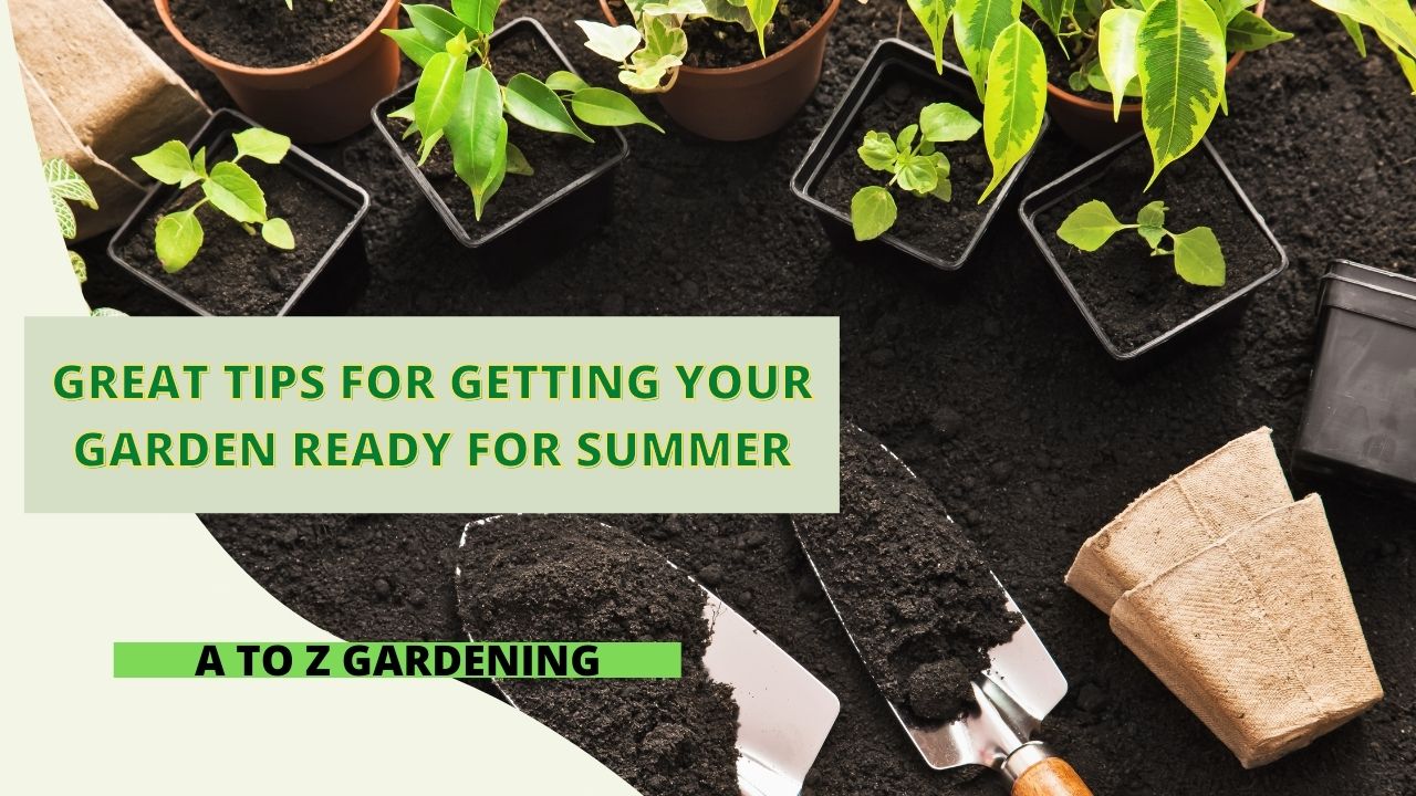 Great Tips for Getting your Garden Ready for Summer