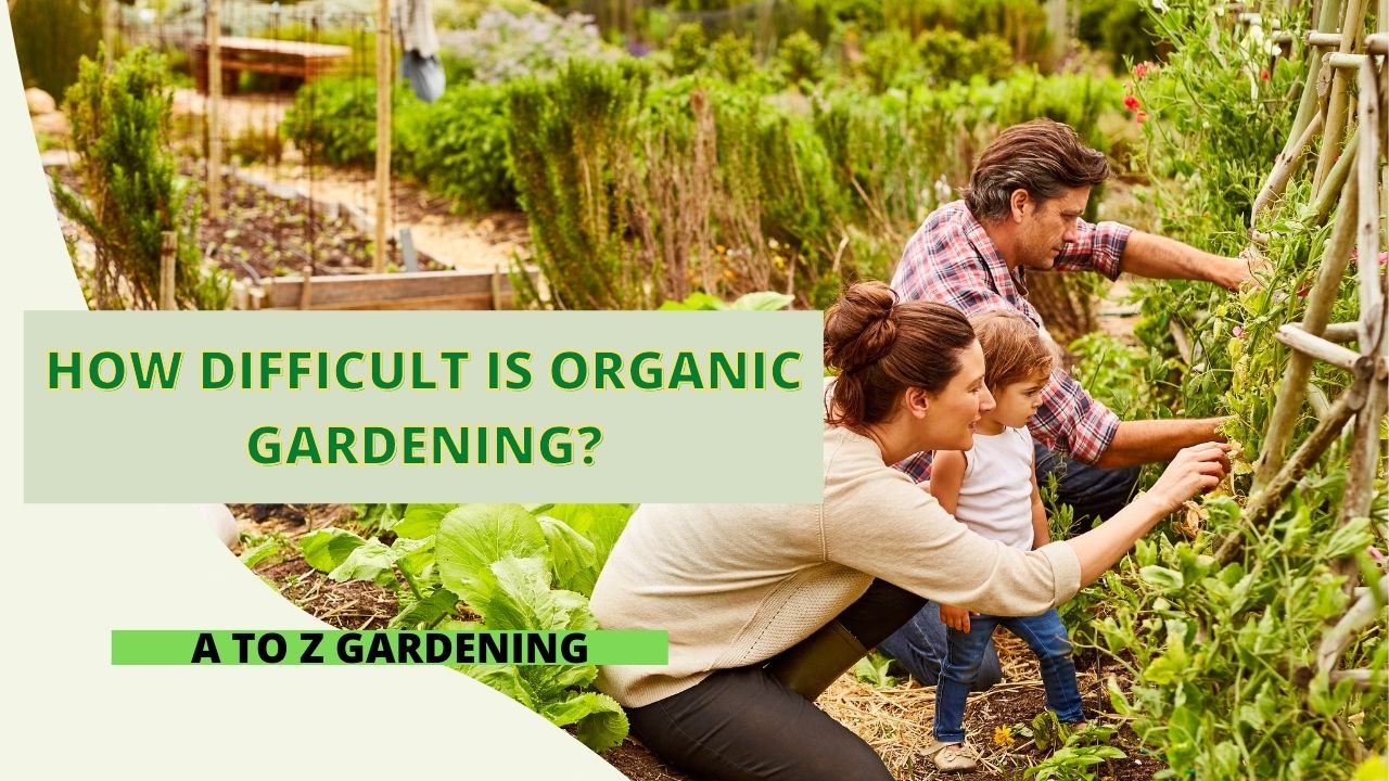 How Difficult is Organic Gardening