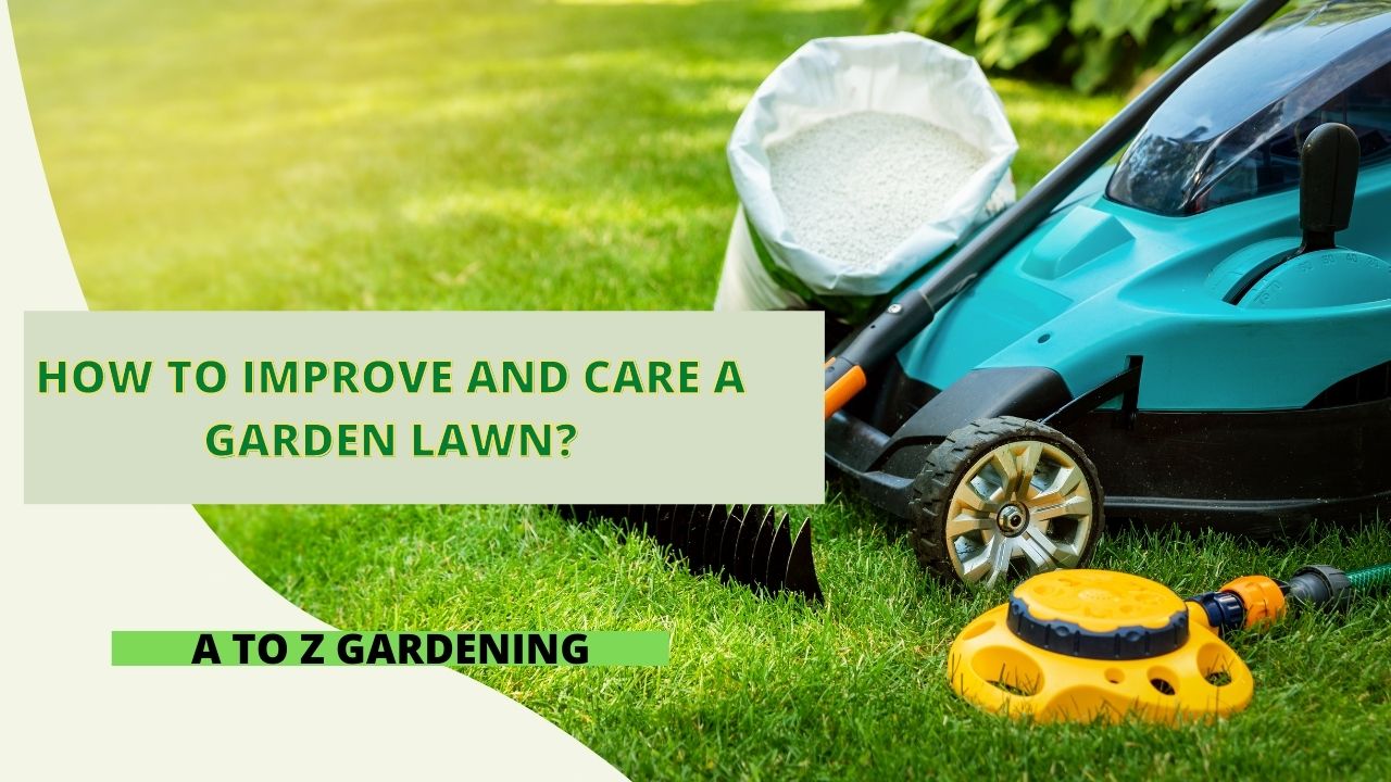 How to Improve And Care a Garden Lawn