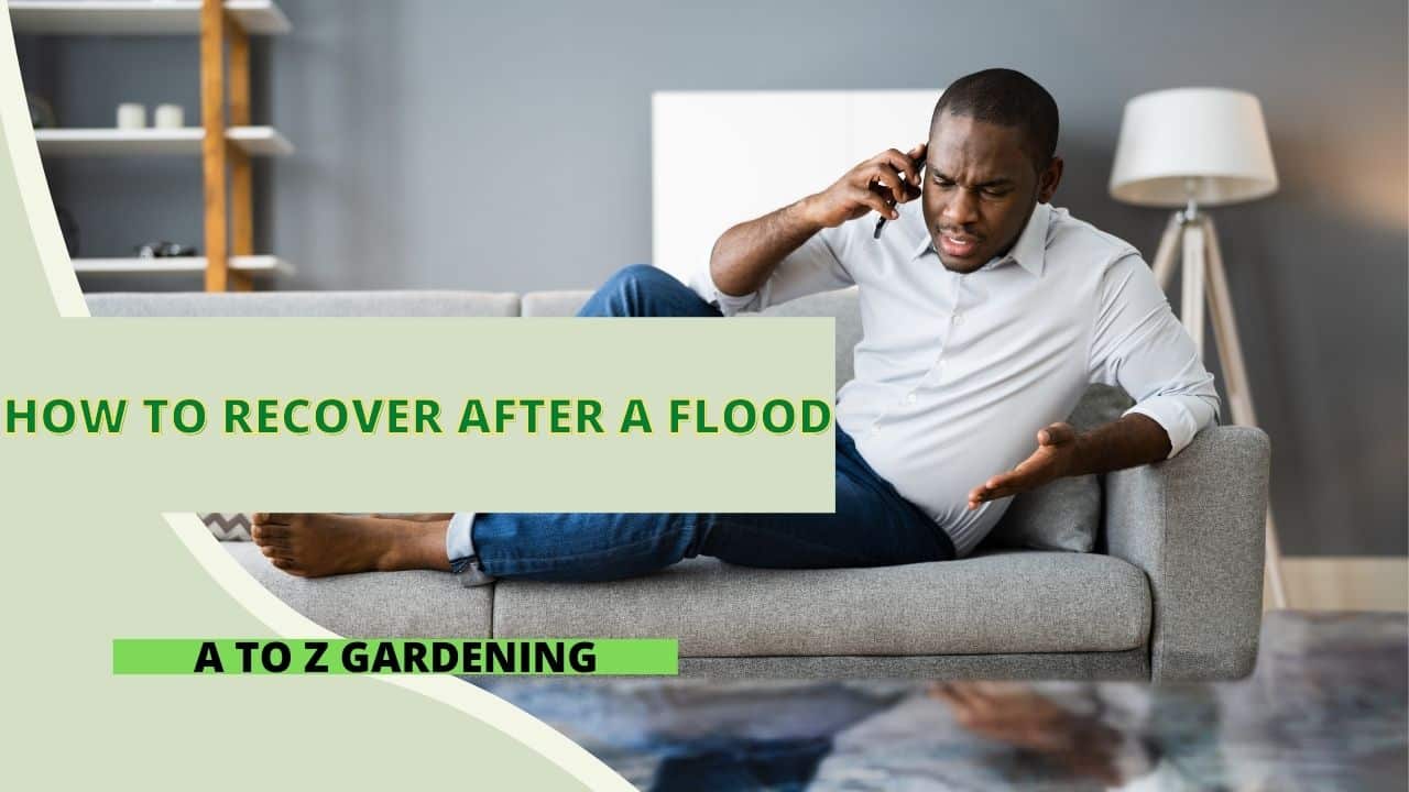 How to Recover After a Flood