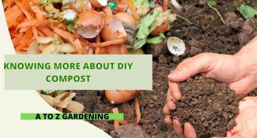 Knowing More About DIY Compost