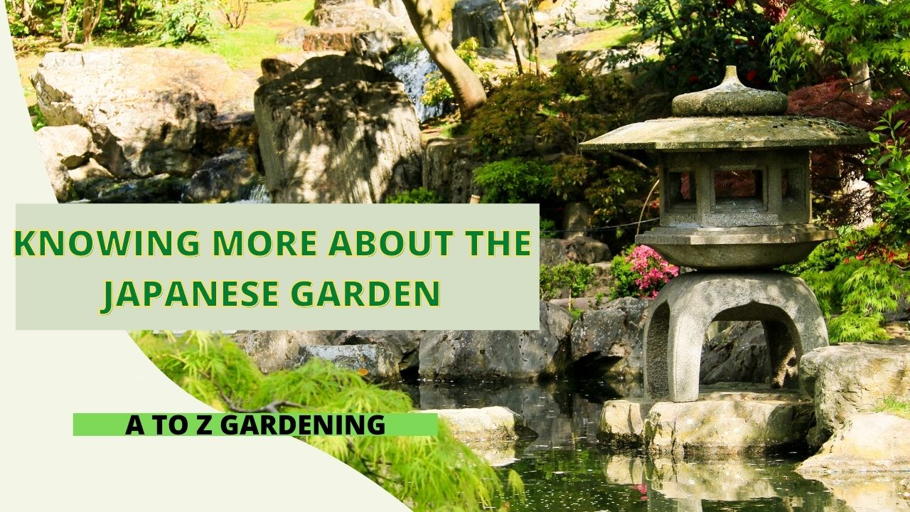 Knowing More About The Japanese Garden