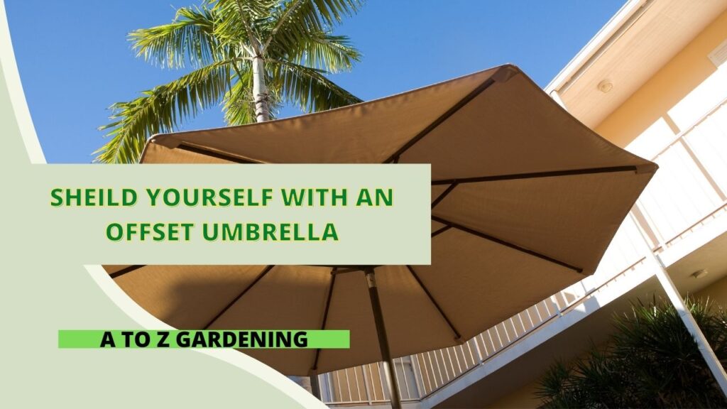 Sheild Yourself With an Offset Umbrella A to Z Gardening
