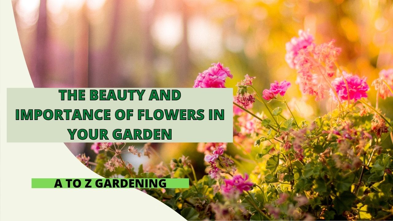 THE BEAUTY AND IMPORTANCE OF FLOWERS IN YOUR GARDEN; HERE’S HOW YOU CAN GET STARTED!