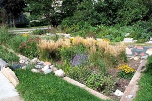 Why is Rainwater Gardening So Important