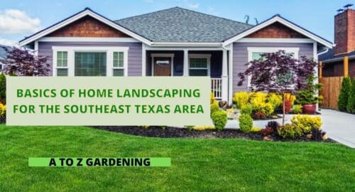 Basics of Home Landscaping for the Southeast Texas Area