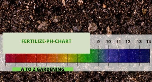 Knowing More about Plant NutrientPH Requirements