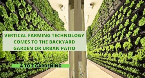 Vertical Farming Technology Comes to the Backyard Garden or Urban Patio