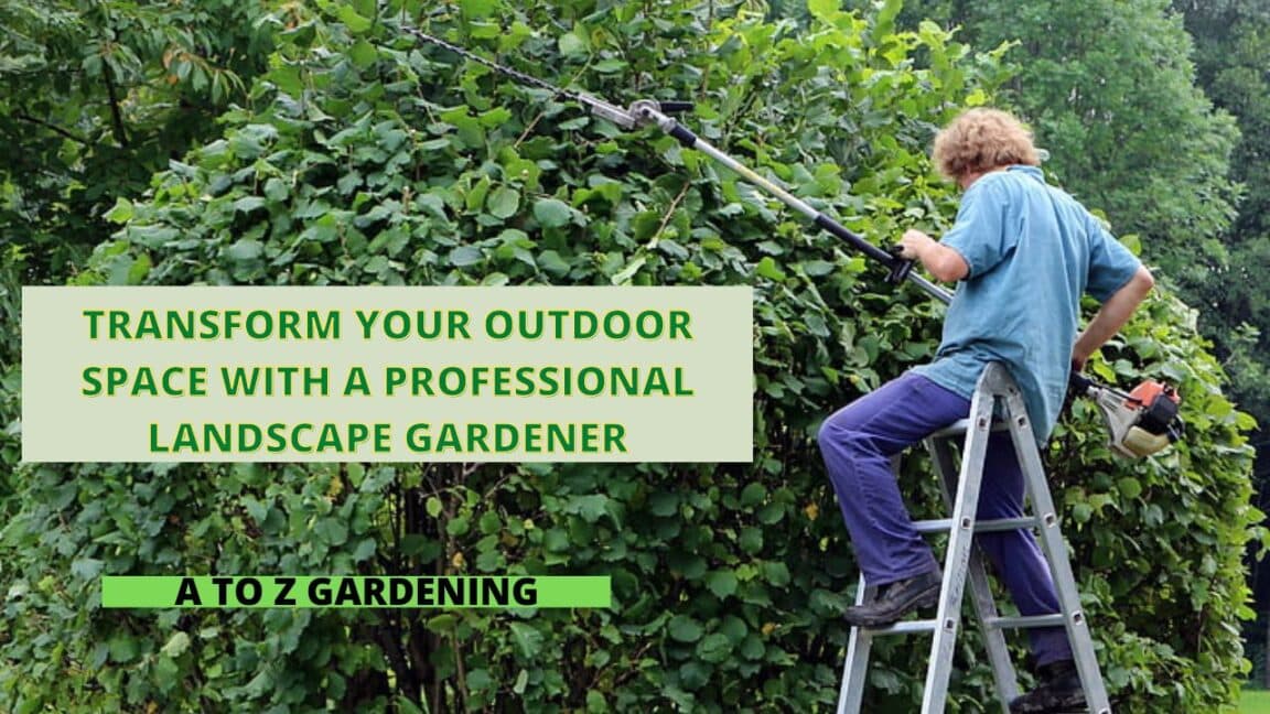 Transform Your Outdoor Space with a Professional Landscape Gardener