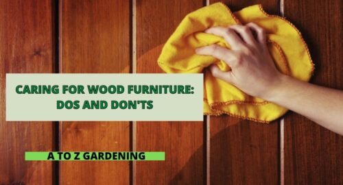 Caring for Wood Furniture Dos and Don'ts
