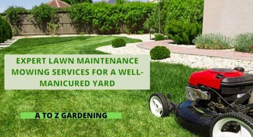 Expert Lawn Maintenance Mowing Services for a Well-Manicured Yard