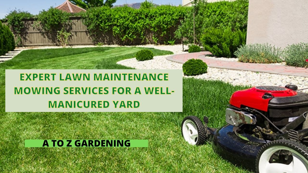 Expert Lawn Maintenance Mowing Services for a Well-Manicured Yard