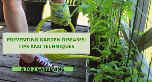 Preventing Garden Diseases Tips and Techniques