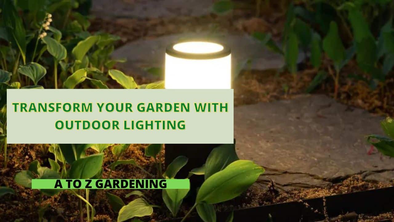 Transform Your Garden with Outdoor Lighting