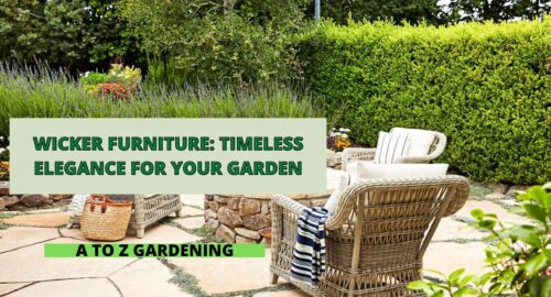 Wicker Furniture Timeless Elegance for Your Garden