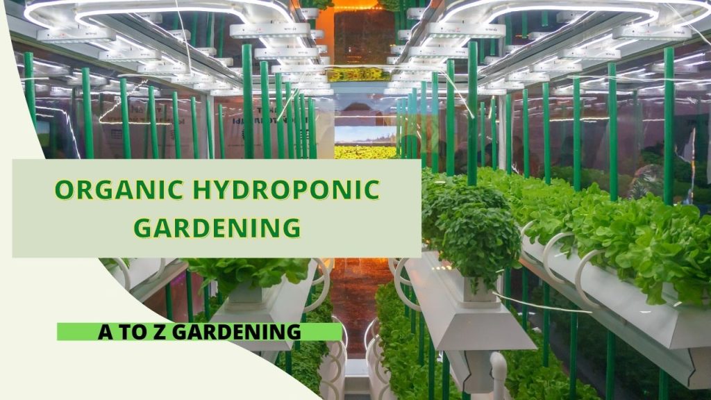 Unlocking the Potential of Organic Hydroponic Gardening