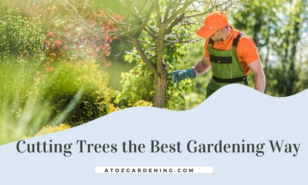 The Art of Tree Pruning: Enhancing Your Garden with Proper Tree Care
